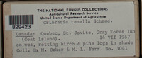 Image Associated With the Occurence